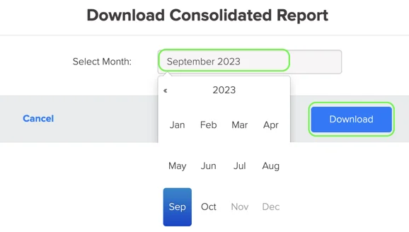 Consolidated Report Download